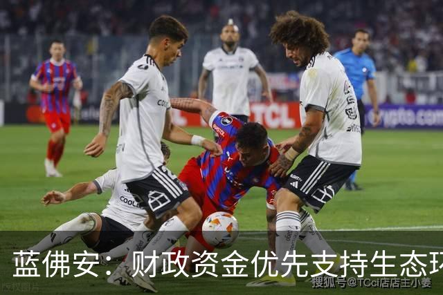 蓝佛安：财政资金优先支持生态环保和农业领域的长远发展